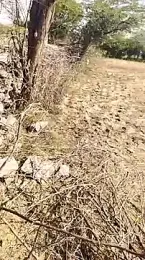 hornycouple20000 webcam stripchat model stream image