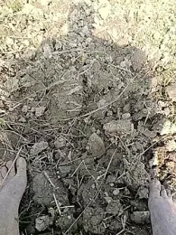 fullyhardy webcam model stream image