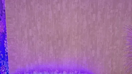 pixy_20 webcam model stream image