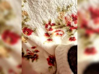 DiiRolla webcam bongacams model stream image