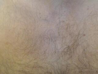 Robinzon webcam model stream image