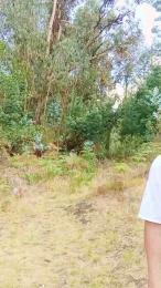 _noahdiaz webcam cam4 model stream image