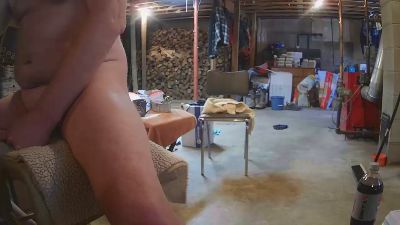 Beeffarmer webcam model stream image