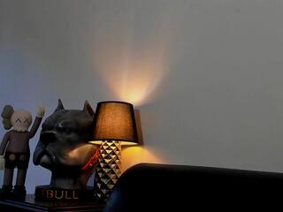 Brad Leon webcam model stream image