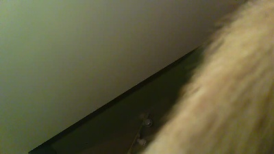 chatterguy4 webcam model stream image