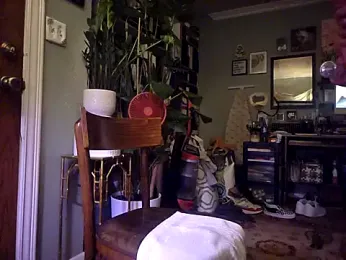 Kappthat webcam model stream image