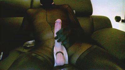 Geilacock webcam model stream image