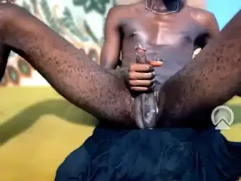 BigDee_0 webcam model stream image