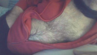 ElSultan4 webcam model stream image