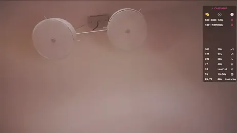 BertaForth webcam model stream image