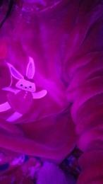 Sophiestar735 webcam model stream image