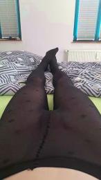 Pommernbengel webcam model stream image