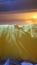 ElenaRey webcam cam4 model stream image