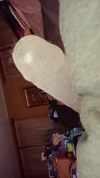 Ptitzizi70 webcam model stream image