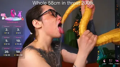 EvaCanton webcam model stream image