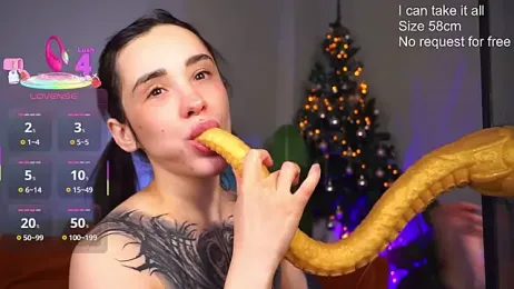 EvaCanton webcam model stream image