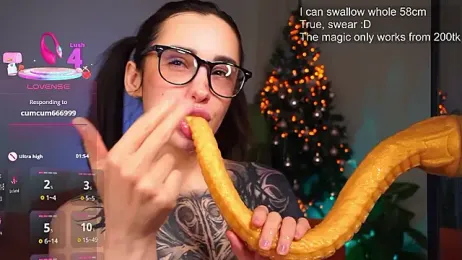 EvaCanton webcam model stream image