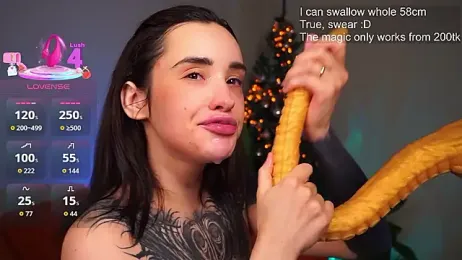 EvaCanton webcam model stream image