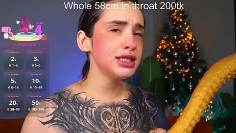 EvaCanton webcam model stream image