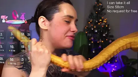 EvaCanton webcam model stream image