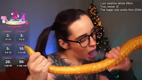 EvaCanton webcam model stream image