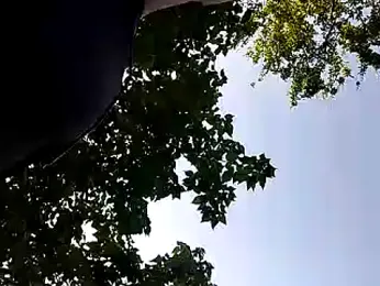 Andreskelly webcam model stream image