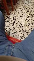 Brutuss webcam model stream image