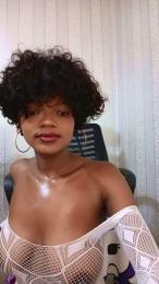 Vallilla webcam model stream image