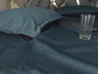 _dantfox_ webcam model stream image