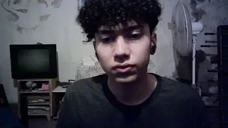 Emv2 webcam model stream image