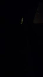 Pisciatoreserio webcam cam4 model stream image