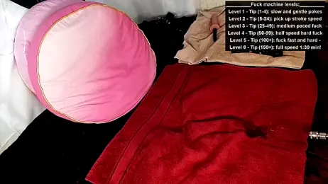 GamerGirlRoxyAndLee webcam stripchat model stream image