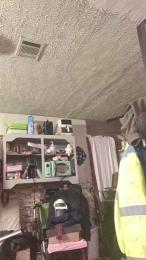 thompson3 webcam model stream image