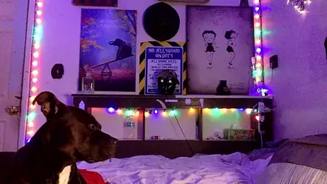 Buffshagswell webcam stripchat model stream image