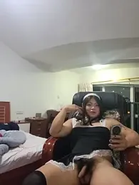 swzl0 webcam model stream image
