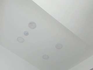 tamy-leen webcam model stream image