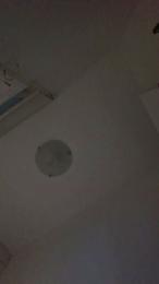 layla229 webcam model stream image