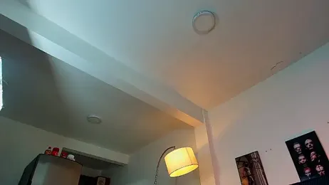 Baxter_Dex webcam model stream image