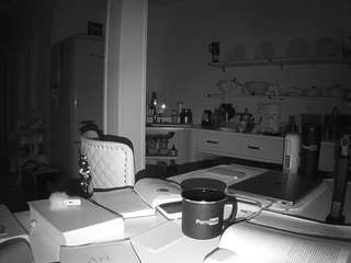 voyeurcam-celticiron-02 webcam model stream image