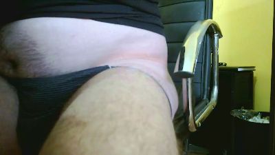 pongibear webcam model stream image