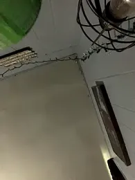 Midwestalpha webcam model stream image