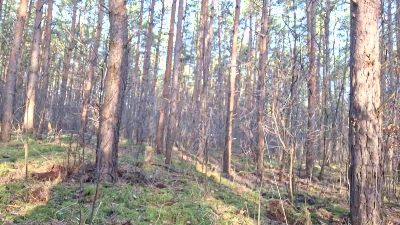 007_Germany webcam cam4 model stream image