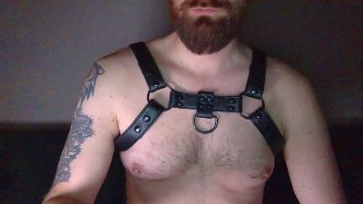 redbearded webcam model stream image