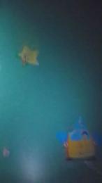 DiablitaKrystal webcam model stream image