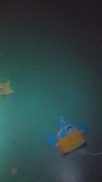 DiablitaKrystal webcam model stream image