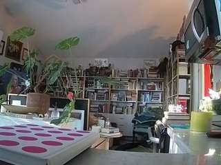 voyeurcam-bridgetleewalters-02 webcam camsoda model stream image