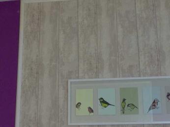 XKimoraX webcam bongacams model stream image