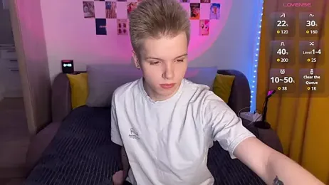 metarion webcam model stream image