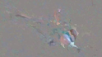 spain_worker webcam model stream image