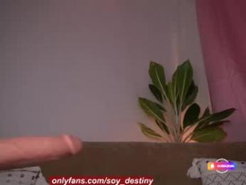 soy_destiny1 webcam model stream image